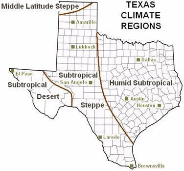 Describe the subtropical region of Texas. What type of climate does this region have-example-1