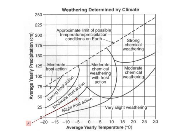 Which type of weathering is most common where the average yearly temperature is 5c-example-1