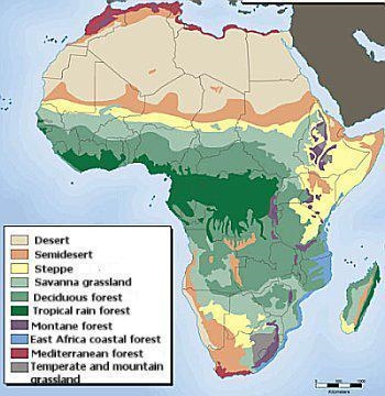 According to this map, a large part of the coast of West Africa consists of which-example-1