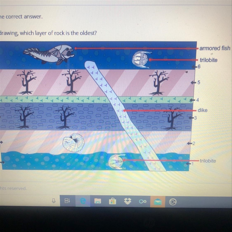 In this drawing, which layer of rock is the oldest?-example-1