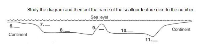 Can somebody help me please-example-1