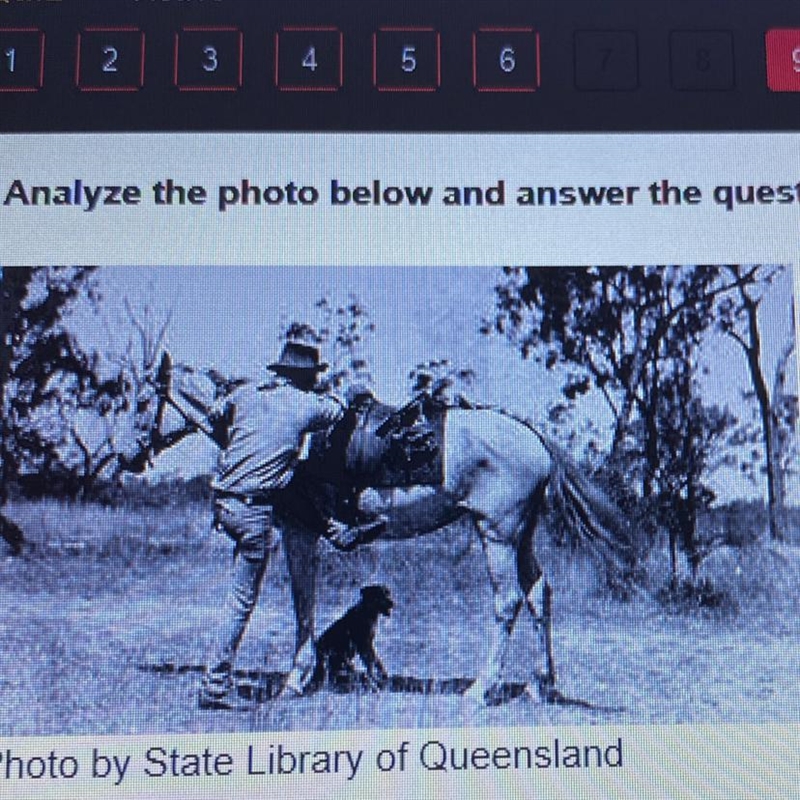 Photo by State Library of Queensland Which cultural icon of Australia is represented-example-1