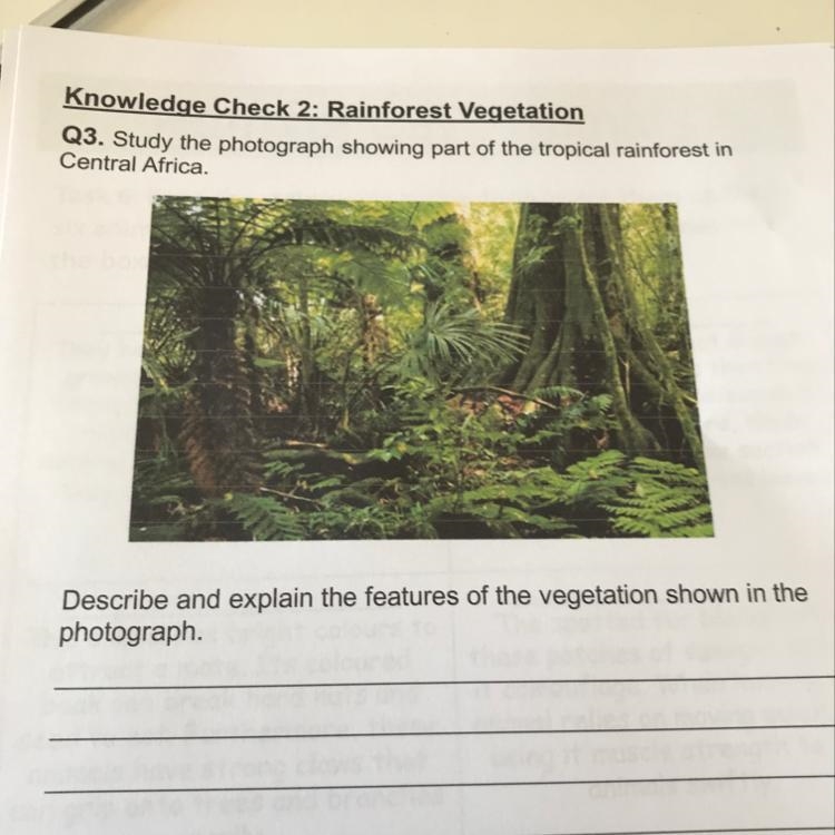 Descrieb features of vegetation shown in the picture-example-1