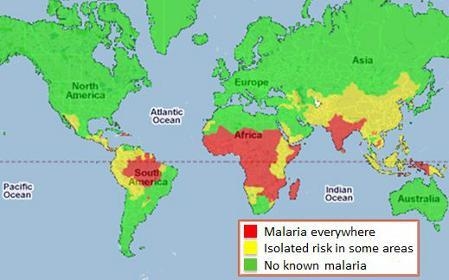 According to the map above, what is the risk of catching malaria while living in Africa-example-1