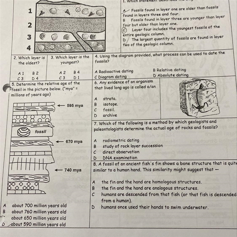 Can somebody please help me with this!-example-1