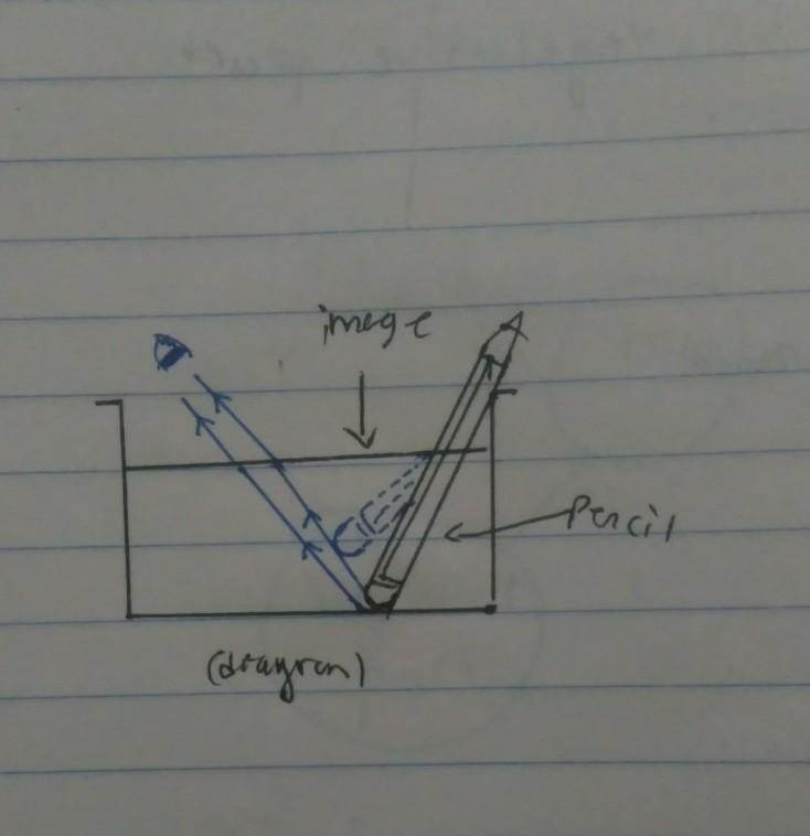 Draw image and path of light rays observed by observer-example-1