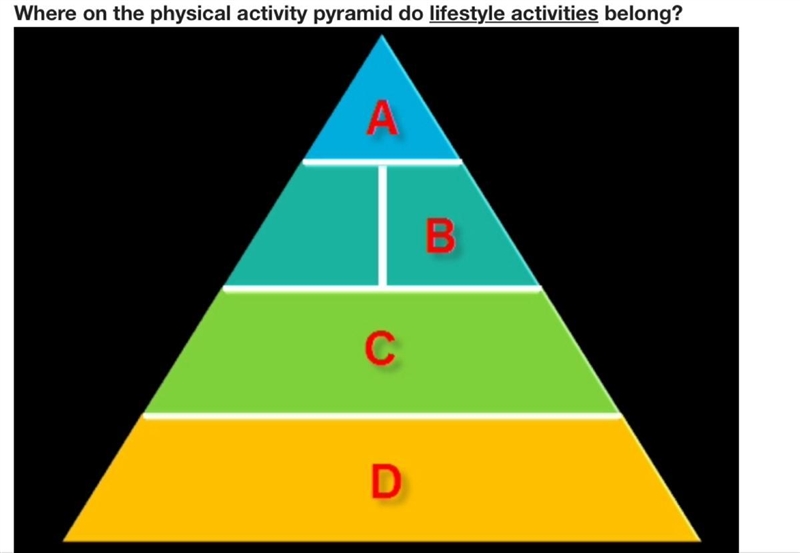 Where on the physical pyramid do lifestyle activities belong?-example-1