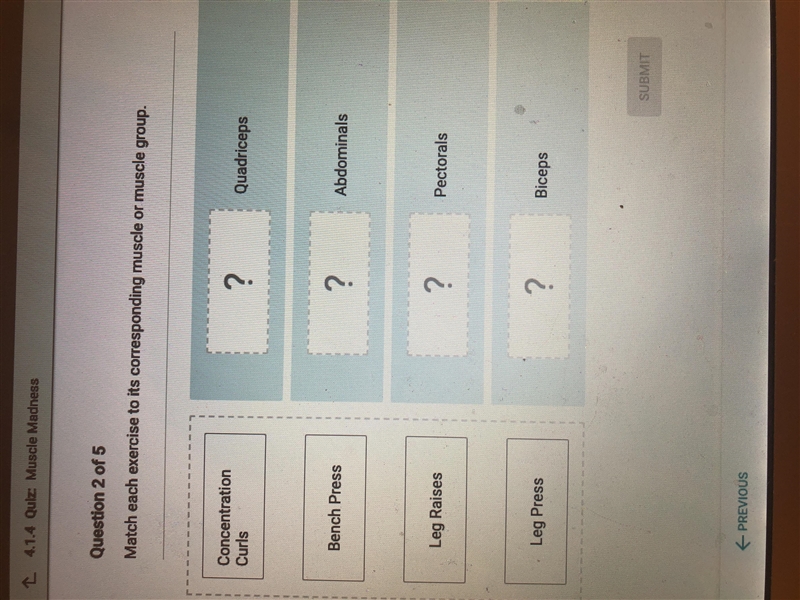 Match each other exercise to its corresponding muscle or muscle group.-example-1