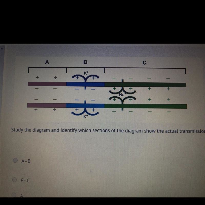 The diagram shows an electrical impulse moving through an axon. Which section or sections-example-1