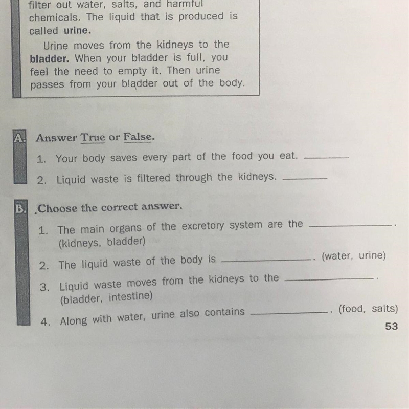 The excretory system Answer all questions correctly A-B-example-1