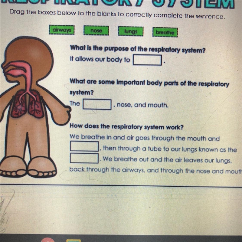 Help me put the words in the green where they need to be placed-example-1