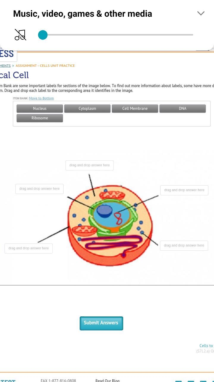 Plss I will mark brainlesst-example-1