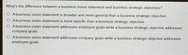 What's the difference between a business vision statement and business strategic objectives-example-1