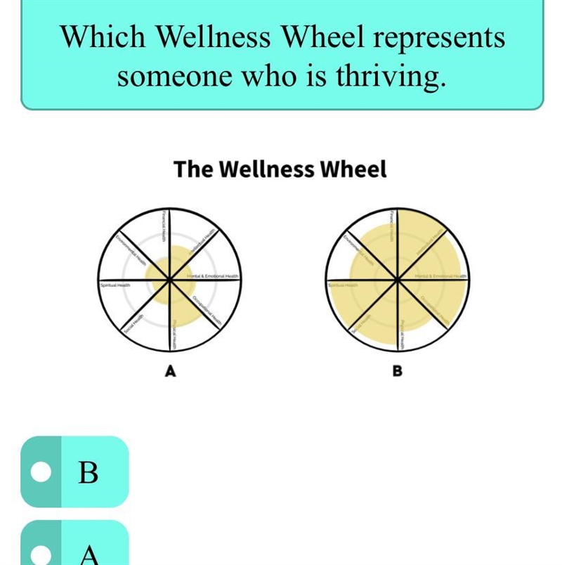 Please answer! 20 points-example-1