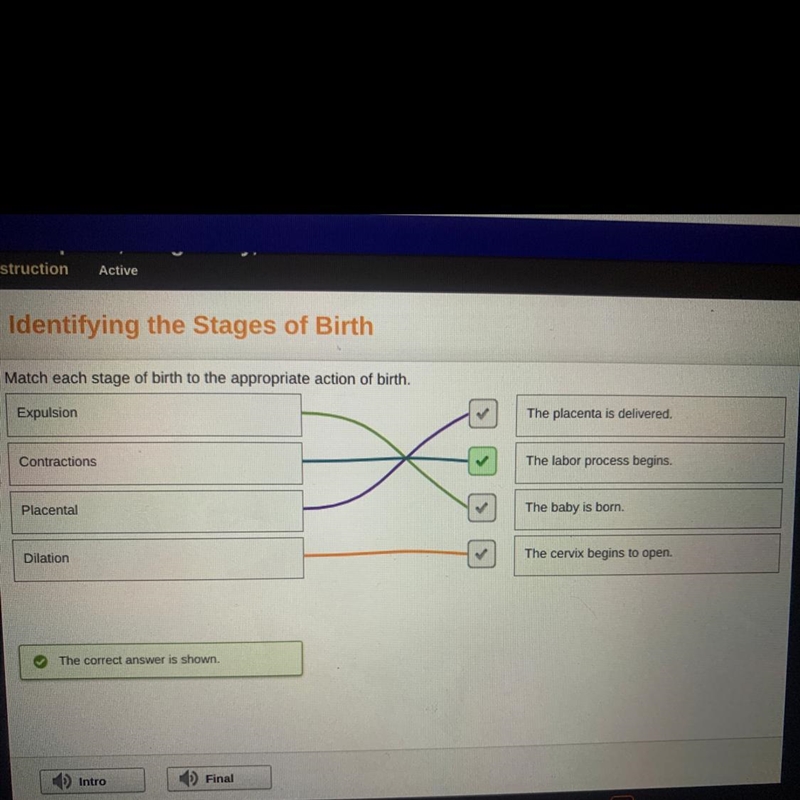 Match each stage of birth to the appropriate action of birth. Expulsion- the baby-example-1