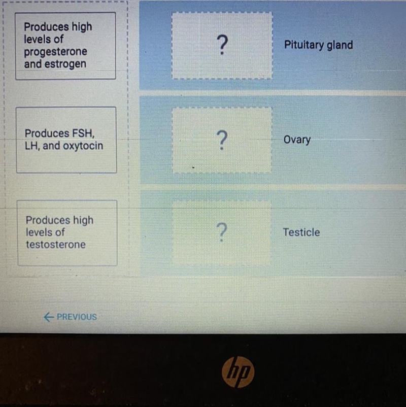 Match each endocrine structure with the appropriate category. HELP FINAL EXAMM!!-example-1