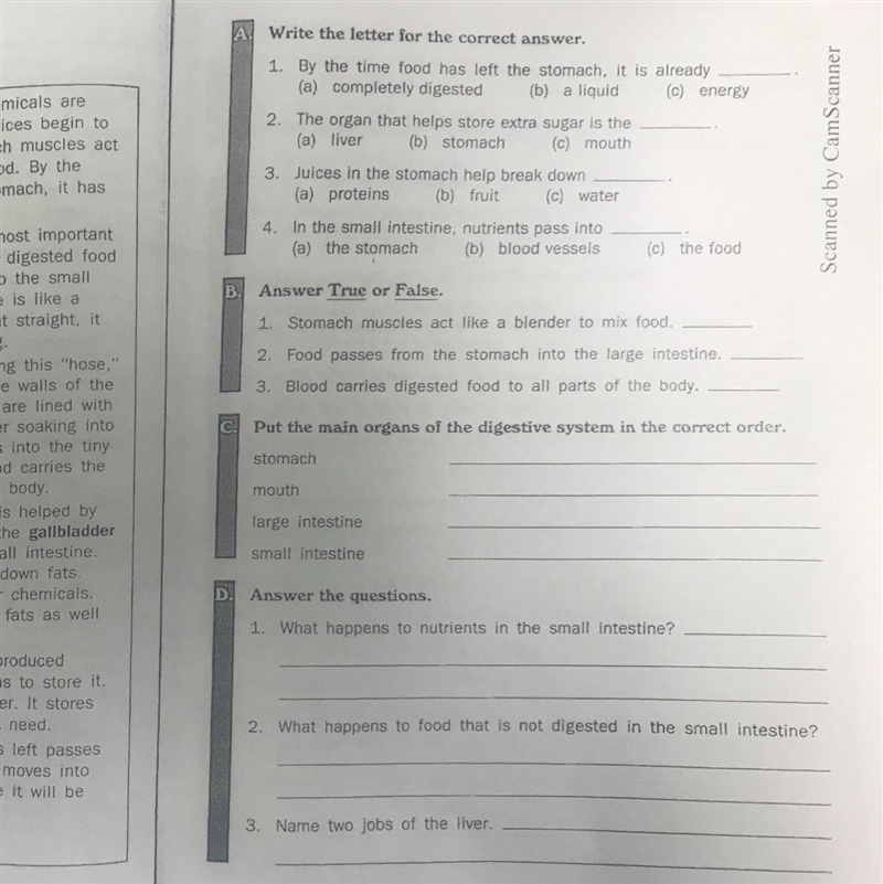 The digestive system A-D fill in the answers.(Take your time)-example-1