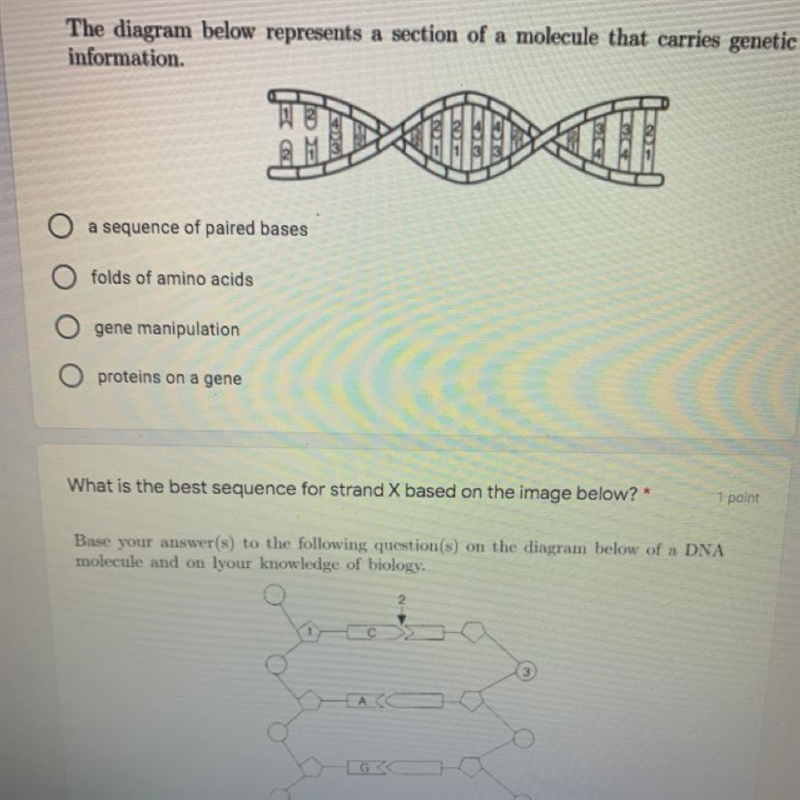 Use the diagram below to answer the question." 1 point The diagram below represents-example-1