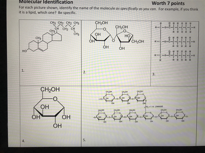 Can someone help me identify these molecules??-example-1