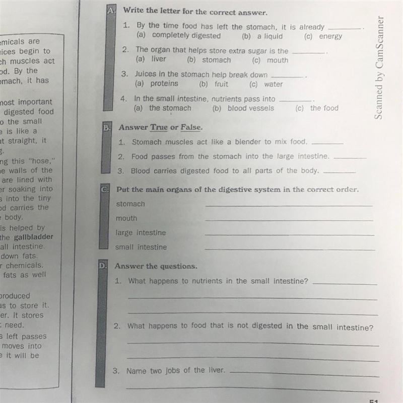 The digestive system (A-D) answer all questions-example-1