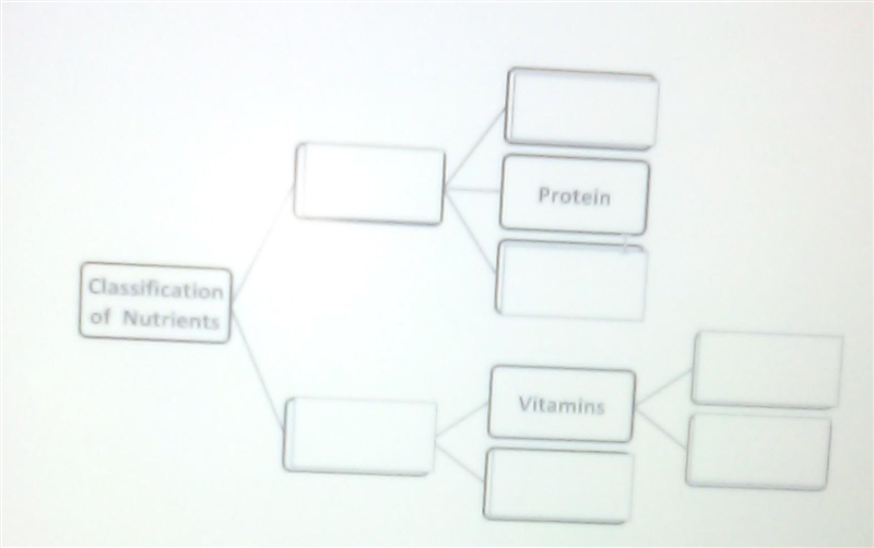 Classification of nutrients flow chart​-example-1