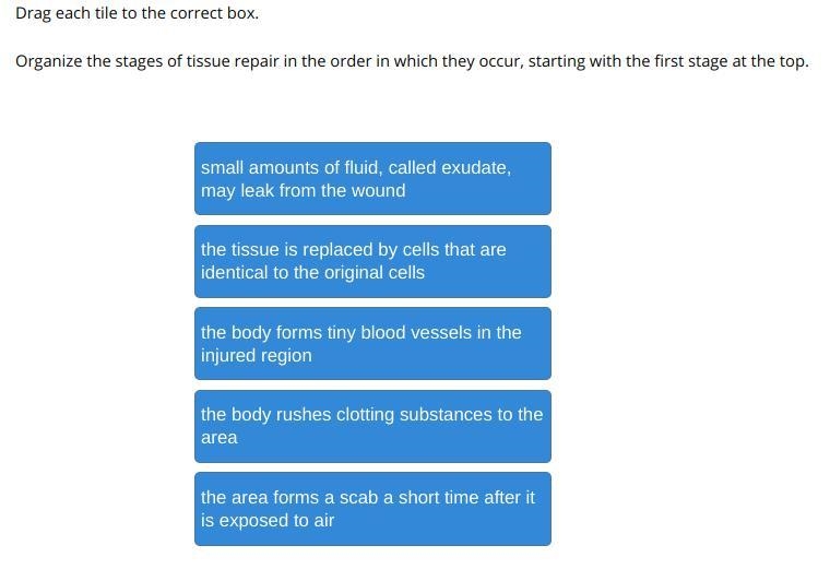 Drag each tile to the correct box.-example-1