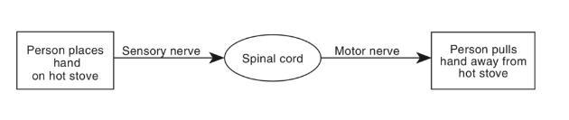 Identify the cause and effect in this flowchart help plz-example-1