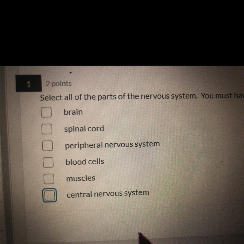 Select all of the parts of the nervous system-example-1