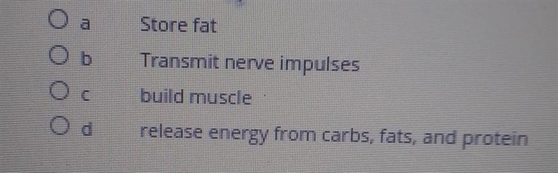 Whats the main function of vitamins? (not to store fat)​-example-1