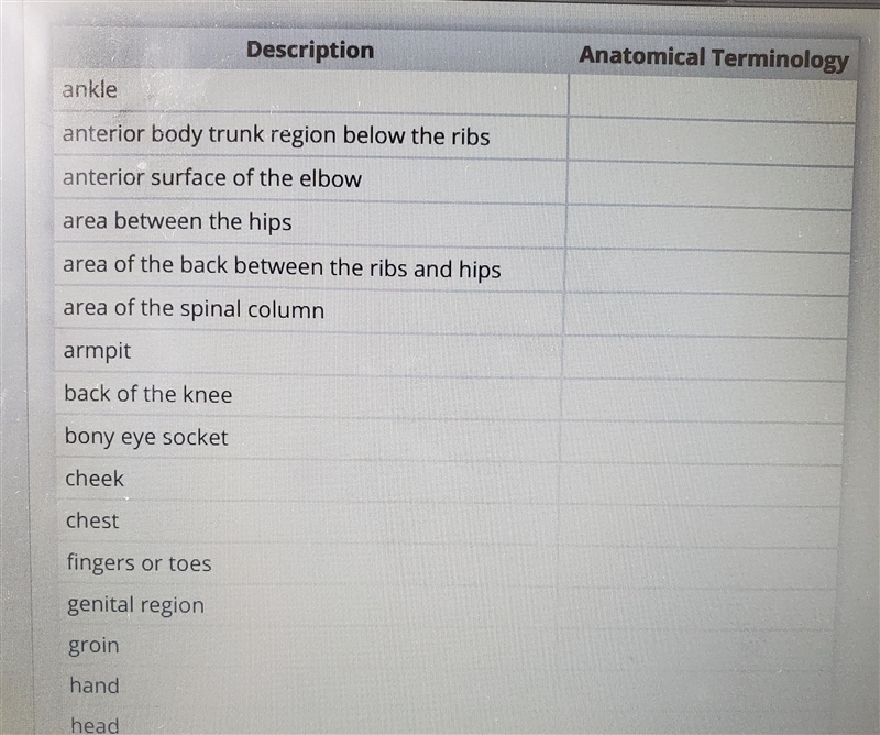 The table names various parts of the body. Identify the correct anatomical terminology-example-1