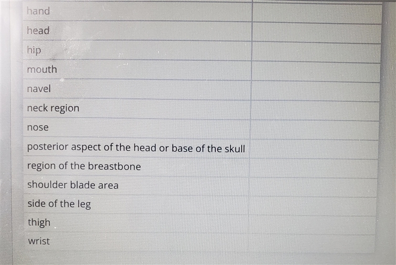 The table names various parts of the body. Identify the correct anatomical terminology-example-2