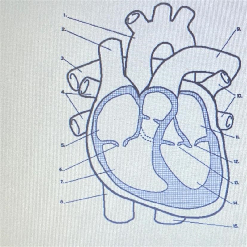 What are the numbers on the heart-example-1