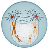 Which image represents the step in mitosis when chromosomes condense and spindle fibers-example-1