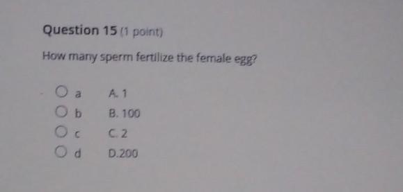 Help right answer only please!! ​-example-1