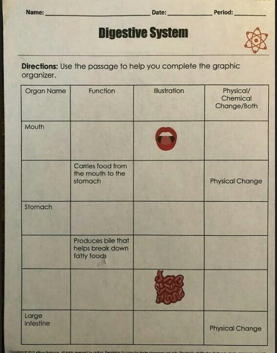 what is the function of the mouth and is it a physical or chemical change or both-example-1