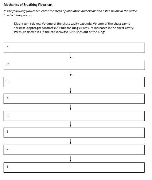 Hello, could someone please solve this?-example-1