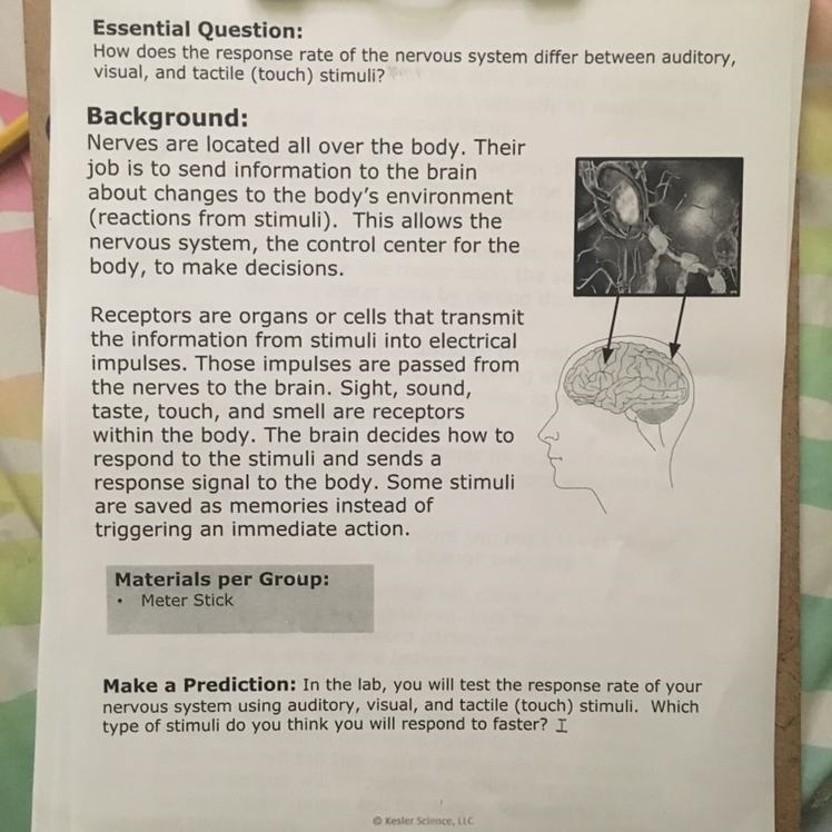 Make a Prediction: In the lab, you will test the response rate of your nervous system-example-1