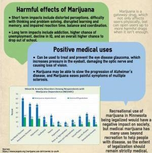 What are the causes and effects of the legalization of marijuana ps: I need a least-example-1