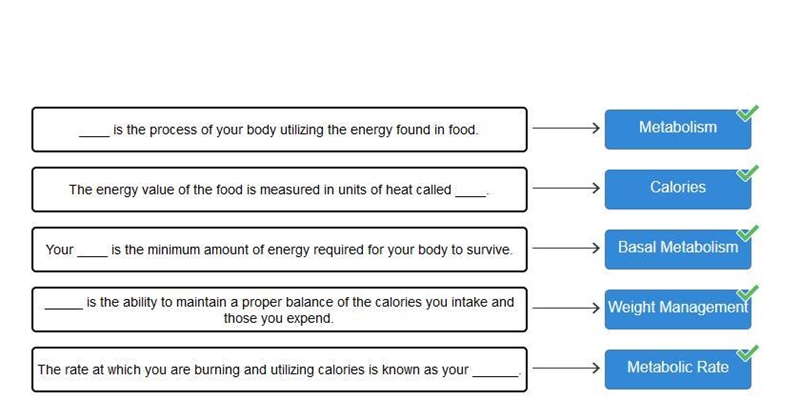 Match the following definition with the correct term. Metabolism Calories Basal Metabolism-example-1