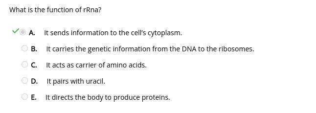 What is the function of rRna? OA. It sends information to the cell's cytoplasm. S-example-1