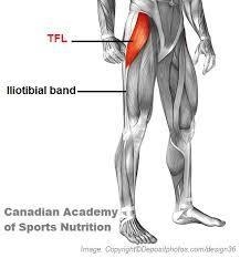 In order to most effectively target the tensor fascia latae (TFL) while standing, a-example-1