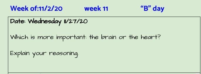 Can anyone describe whats more important: Brain or heart?-example-1