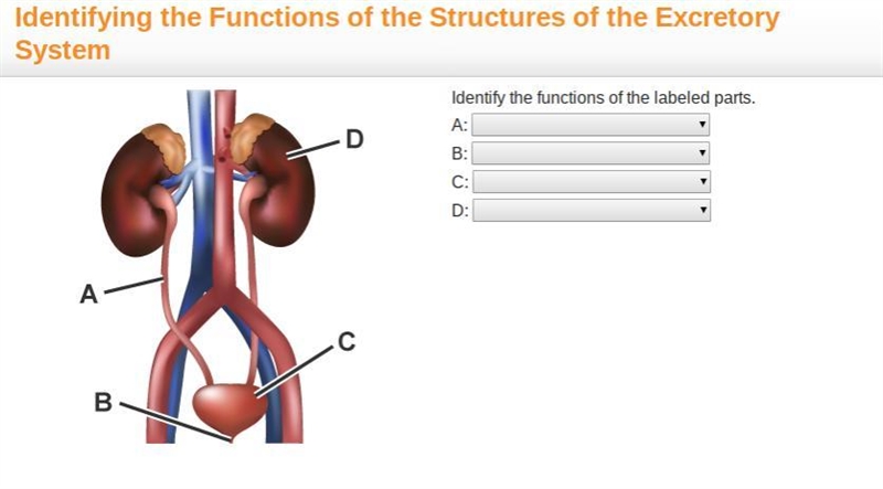 PLZZ HELP FAST....Give the correct answers Yes i know its weird to learn this my age-example-1