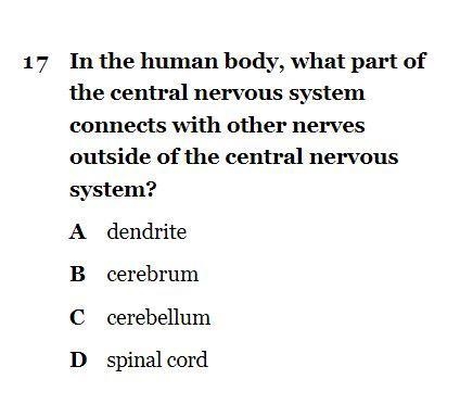 Pls help me due in 12 mins answer asap-example-1