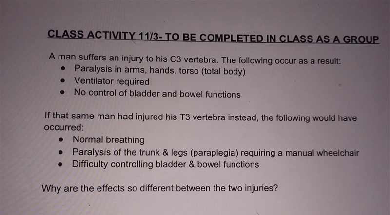 The question is why are the effects so different between the two injuries? Help me-example-1