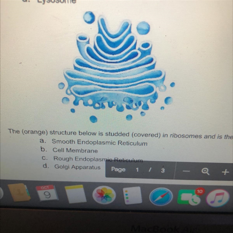 Name of the (blue) organelle listed below? a. Endoplasmic Reticulum b. Chloroplast-example-1