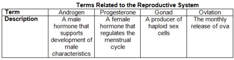 Horace created a study chart to prepare for an exam. Which statement describes the-example-1