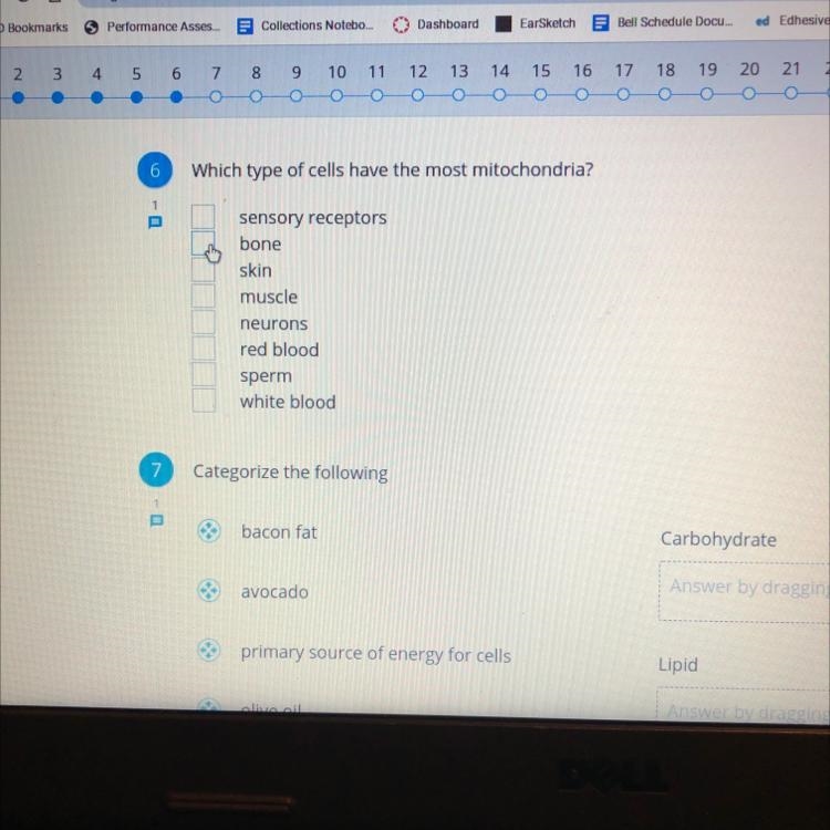 Which type of cells have the most mitochondria?-example-1