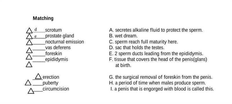 Help please its a bout the male reproductive system its a matching up one-example-1