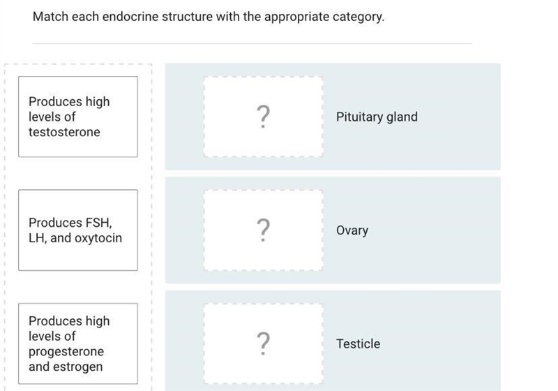 Can someone tell me which one goes with the correct category please-example-1